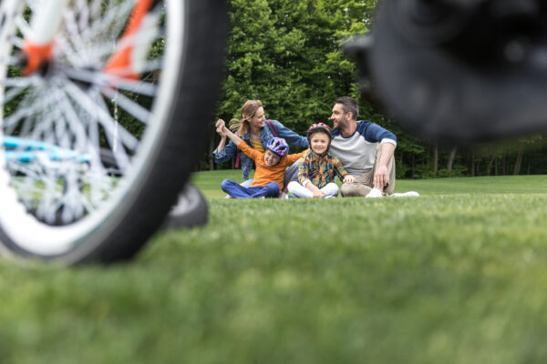 The young family's Easy Will with Testamentary Trust for Children 2 for 1 - Image 4